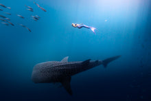 Load image into Gallery viewer, Reserve Your Spot – Mermaid Retreat Maldives 2027