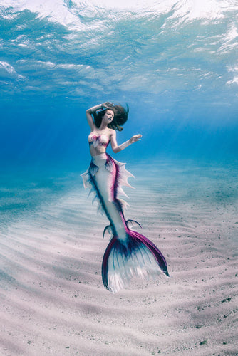 Moon Mermaid Silicone Mermaid Tail Seashell Bra